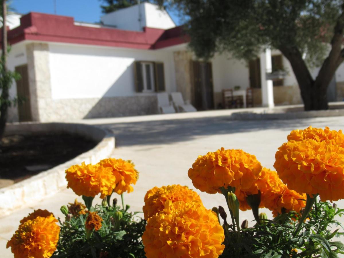 Villa Casa Ale & Vinci Monopoli Exterior foto