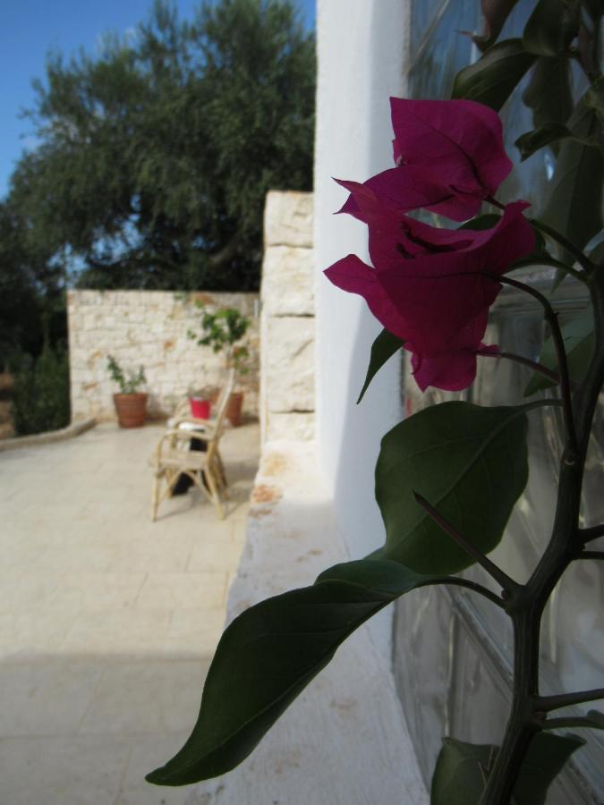Villa Casa Ale & Vinci Monopoli Exterior foto