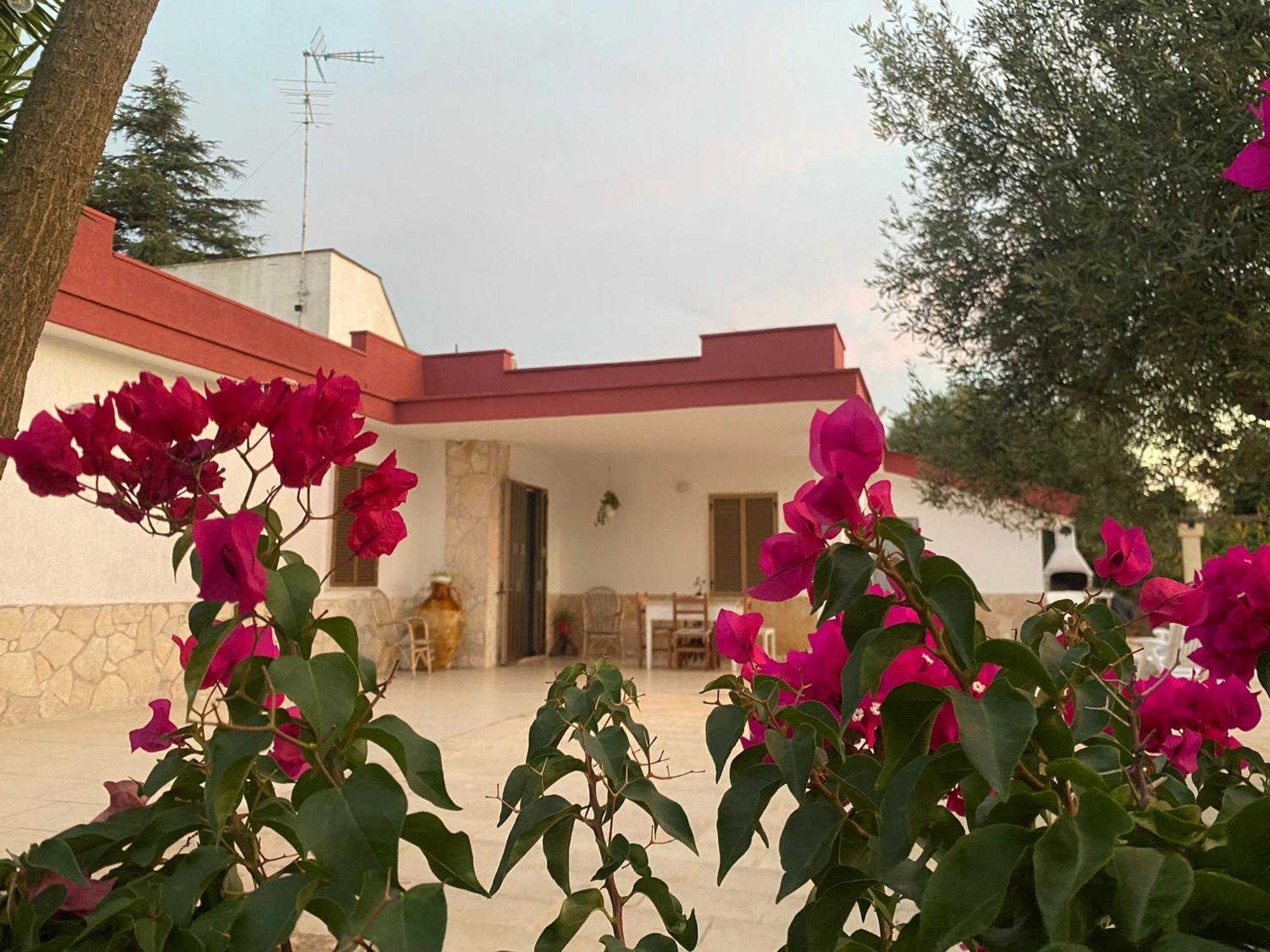 Villa Casa Ale & Vinci Monopoli Exterior foto